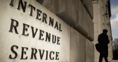 IRS-ABD Adalet Bakanlığı ve İç Gelir Servisi